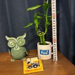 ミリオンバンブー＆チョロQセット の画像