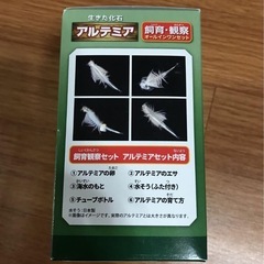 【新品・未使用】アルテミア　飼育・観察オールインワンセットの画像