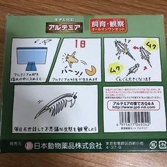 【新品・未使用】アルテミア　飼育・観察オールインワンセットの画像