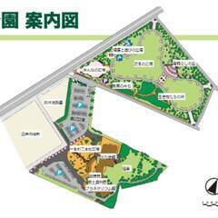 　2月9日(日)　おしゃれ市場　in　白井総合公園　出店者募集 − 千葉県
