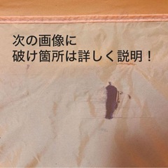 KATOJI プレイヤード バシネット付 プーさんの画像