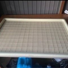 大型犬用　トイレトレー