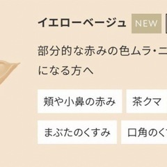 ETVOS ミネラルインナートリートメントリキッドコンシーラー　イエローベージュの画像