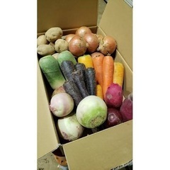 玉ねぎ3kg 300円くらい、及び廃棄予定の野菜を譲ってください