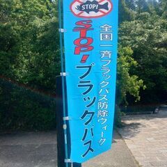 琵琶湖で考えるリリース禁止となかなか終わらないブラックバス問題