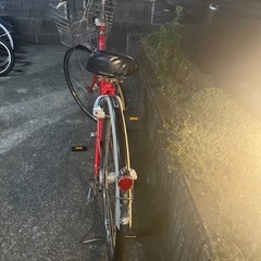 ブリジストン　アルベルト　自転車　赤の画像