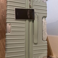 キャリーケースLサイズ
の画像