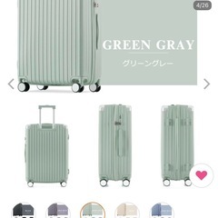 キャリーケースLサイズ
の画像