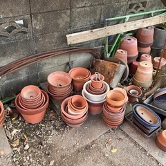【終了】植木鉢その他  取りに来てくださる方の画像