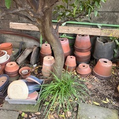 【終了】植木鉢その他  取りに来てくださる方の画像