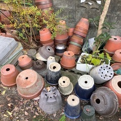 【終了】植木鉢その他  取りに来てくださる方の画像