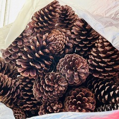 ＃10【対面・非対面・希望日👌】の画像