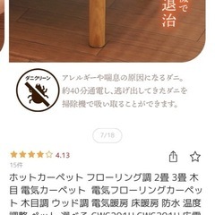 ホットカーペットの画像