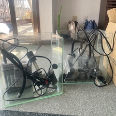 【決まりました】水槽。熱帯魚やグッピー金魚に水槽２つセットの画像