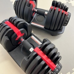 ダンベル、インクラインベンチ他