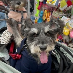 犬友☆