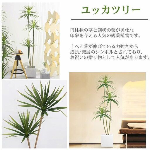 【引取限定！新品未使用】観葉植物 フェイク ユッカツリー 人工観葉植物 150cm 鉢付き リアル シンプル 水やり不要 インテリア 玄関 リビング お祝い おしゃれ ドラゴンツリー シンボルツリー KS-07SWH