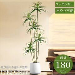 【引取限定！新品未使用】観葉植物 フェイク ユッカツリー 人工観葉植物 180cm 鉢付き リアル シンプル 水やり不要 インテリア 玄関 リビング お祝い おしゃれ ドラゴンツリー シンボルツリー KS-08WHの画像