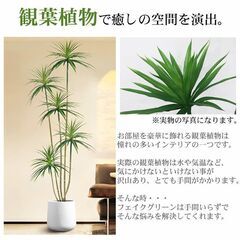 【引取限定！新品未使用】観葉植物 フェイク ユッカツリー 人工観葉植物 180cm 鉢付き リアル シンプル 水やり不要 インテリア 玄関 リビング お祝い おしゃれ ドラゴンツリー シンボルツリー KS-08WHの画像