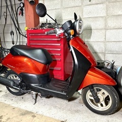 ☆安心の点検整備.動画☆マジもん極低走行❗️ホンダ トゥデイ Fi AF67☆信じラーレナーイ距離❗️とにかく走行距離が少ない機関抜群個体です！の画像