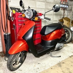 ☆安心の点検整備.動画☆マジもん極低走行❗️ホンダ トゥデイ Fi AF67☆信じラーレナーイ距離❗️とにかく走行距離が少ない機関抜群個体です！の画像