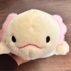 握ると音が鳴るウーパールーパー