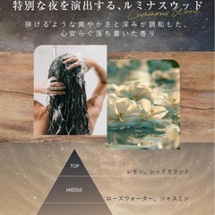 レニーナ シャンプートリートメントセット エステサロン ヘアケア ダメージケアの画像