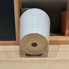 陶器　植木鉢28×25ホワイトの画像