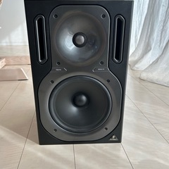 BEHRINGER truth model B2031P