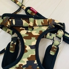 犬用ハーネス＆リード
