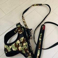 犬用ハーネス＆リードの画像