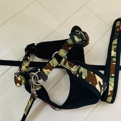 犬用ハーネス＆リードの画像