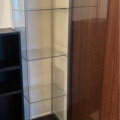 【コレクションケース】無料で差し上げますの画像