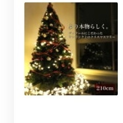クリスマスツリー