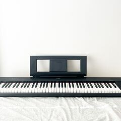 ピアジェーロの中古が安い！激安で譲ります・無料であげます