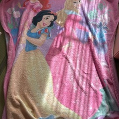 大判　ディズニー ディズニープリンセス 毛布 ブランケット タオ...