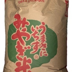 令和６年宮城県産ひとめぼれ１kg【玄米】