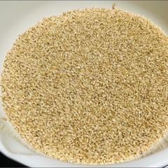 令和６年宮城県産ひとめぼれ１kg【玄米】の画像