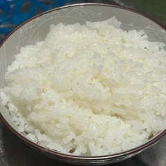 令和６年宮城県産ひとめぼれ１kg【玄米】の画像