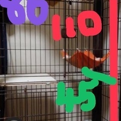 キャットケージ　2段　年末片付け中の画像