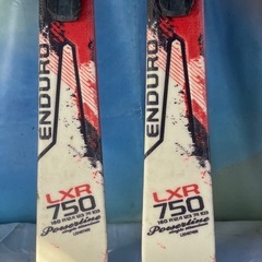 Salomon サロモン　カービングスキー　チューンナップ済の画像