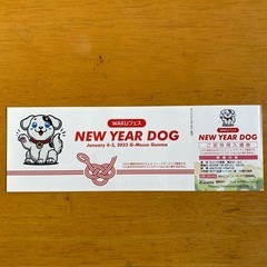 WAKUフェスNEWYEARDOGチケット
