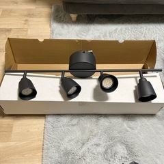 クヌートボー 
