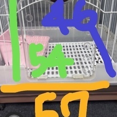 無料うさぎケージ🐇本日限定の画像