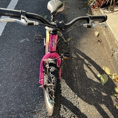シュウィン　子供用自転車　マウンテンバイク　16インチの画像