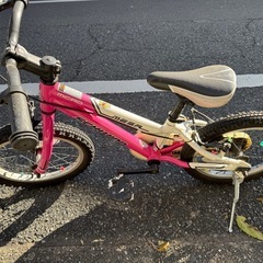 シュウィン　子供用自転車　マウンテンバイク　16インチの画像
