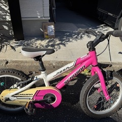 シュウィン　子供用自転車　マウンテンバイク　16インチの画像
