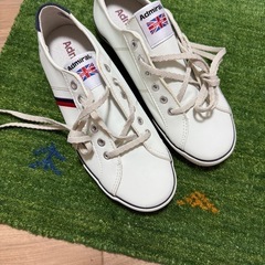 Admiral　アドミラル　WATFORD ワトフォード
　メンズ　スニーカー の画像