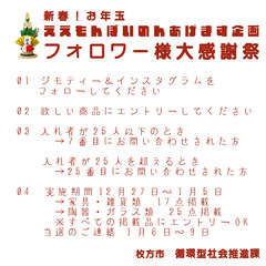 新春お年玉！ええもんぽいのんあげます企画　フォロワー様大感謝祭　2025　(家)2501-7の画像