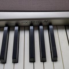 カシオ　Privia PX-120